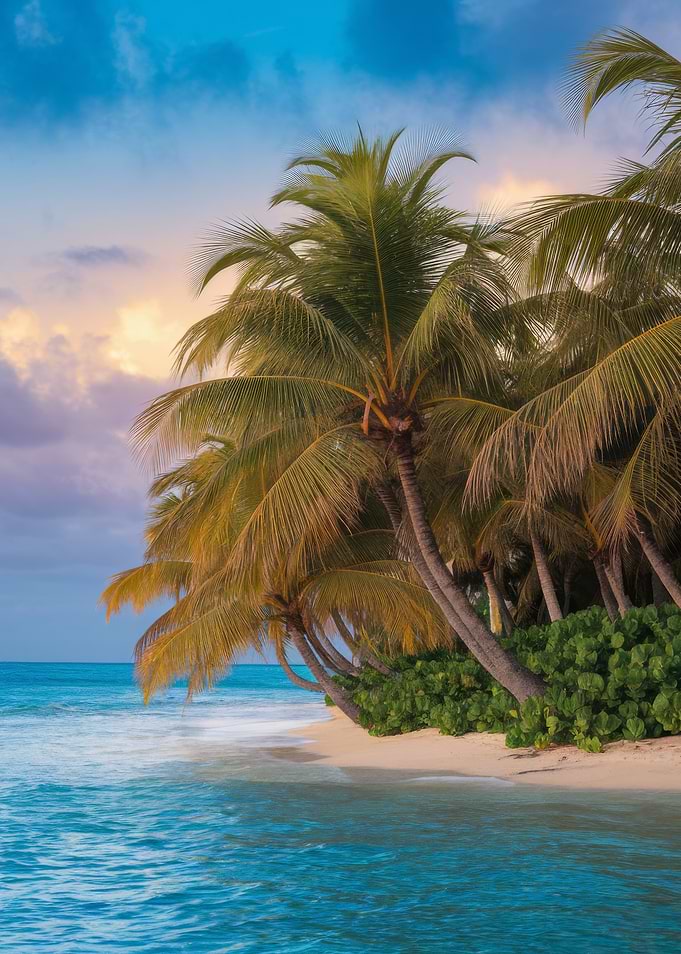 Tropical Beach with Palm Trees