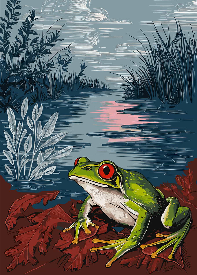 Green Frog with Red Eyes Illustration