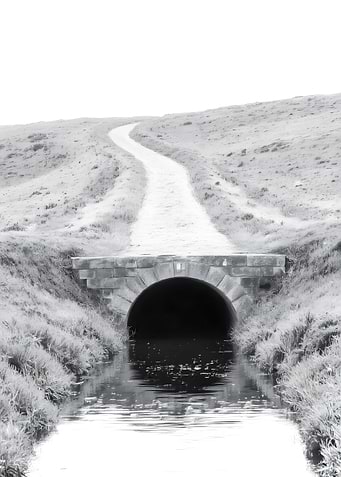 Monochrome Landscape with Tunnel and Path