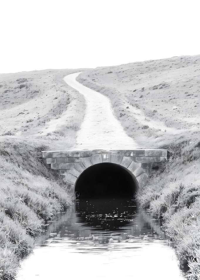 Monochrome Landscape with Tunnel and Path