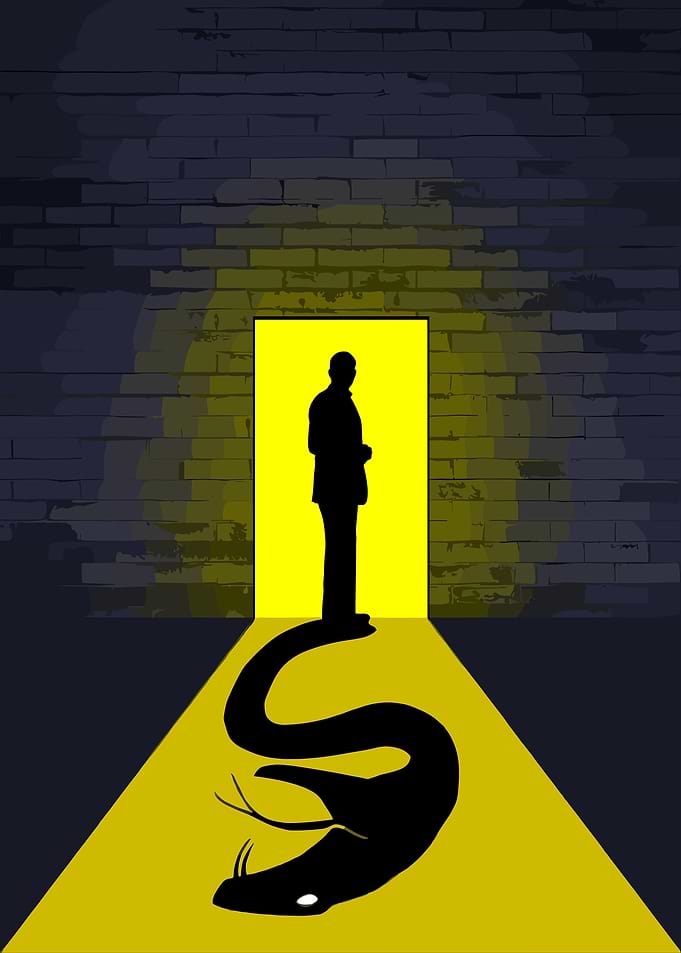 Man and Snake Shadow in Doorway