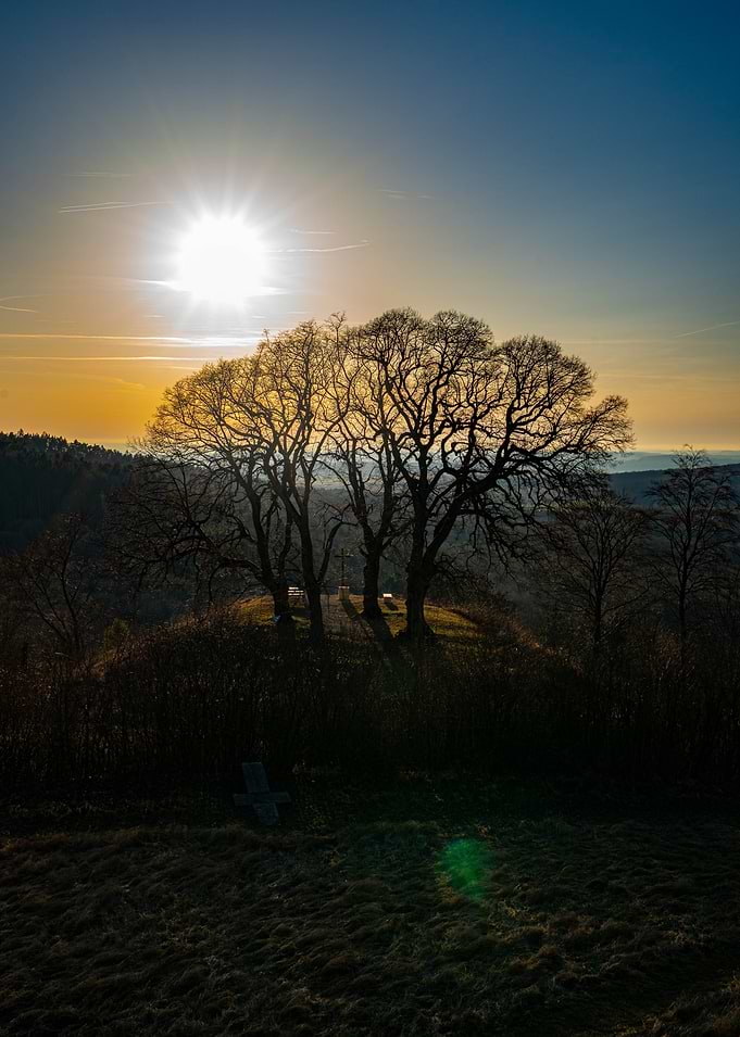 Sunset over trees on a hill