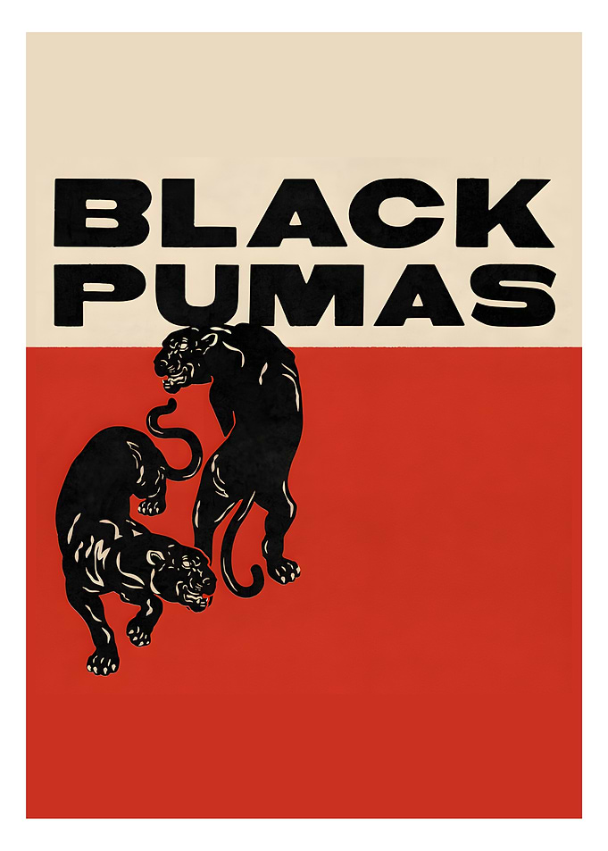 Black Pumas Poster Art