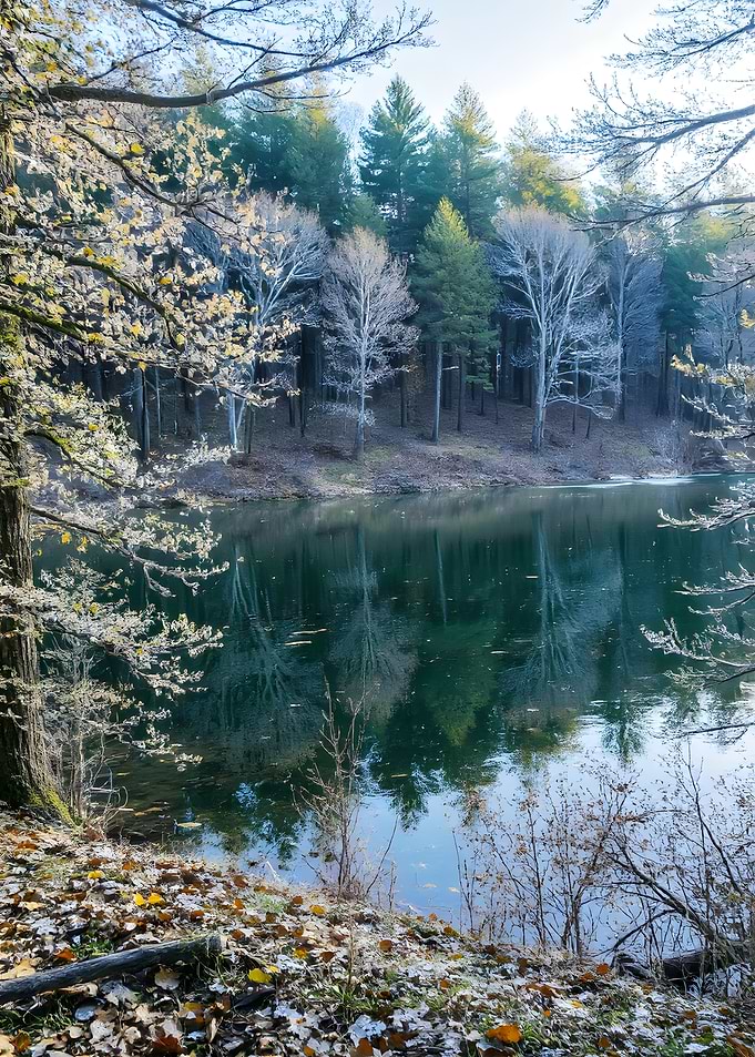 Reflections on a serene lake