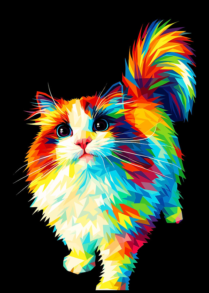 Colorful Cat Portrait on Black Background
