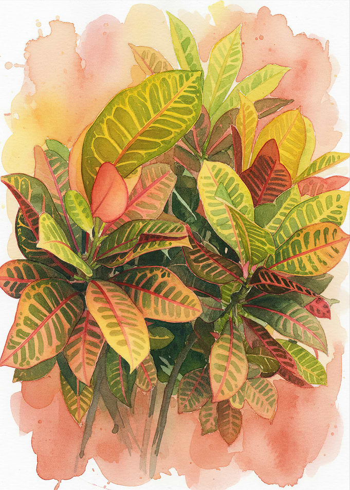 Croton Plant Watercolor Painting