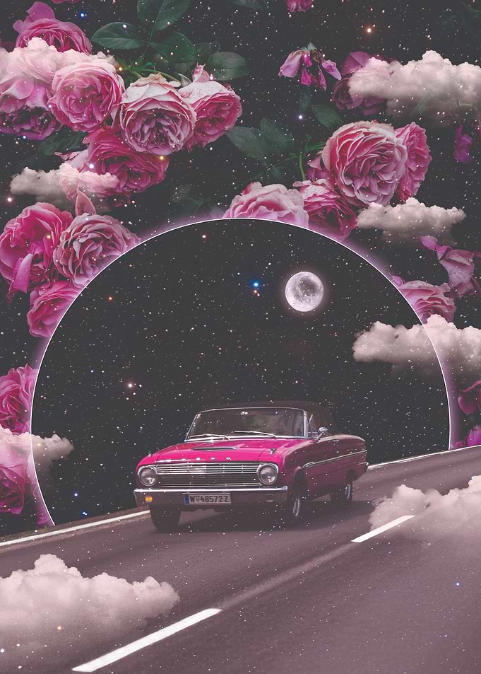 Pink Night