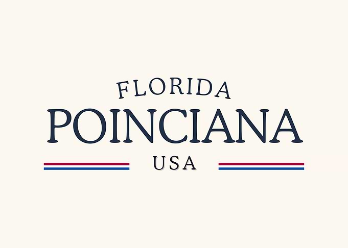 Florida Poinciana USA Classic Cream