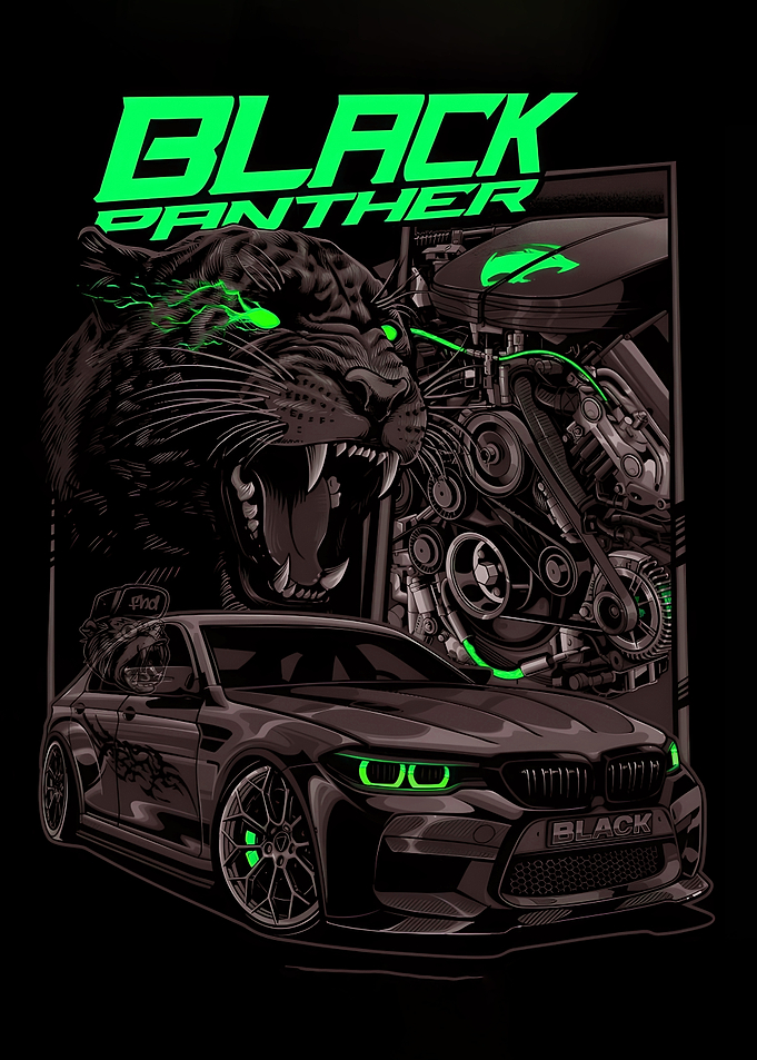 Midnight Panther Car