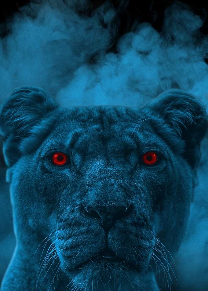 Blue Lion with Red Eyes