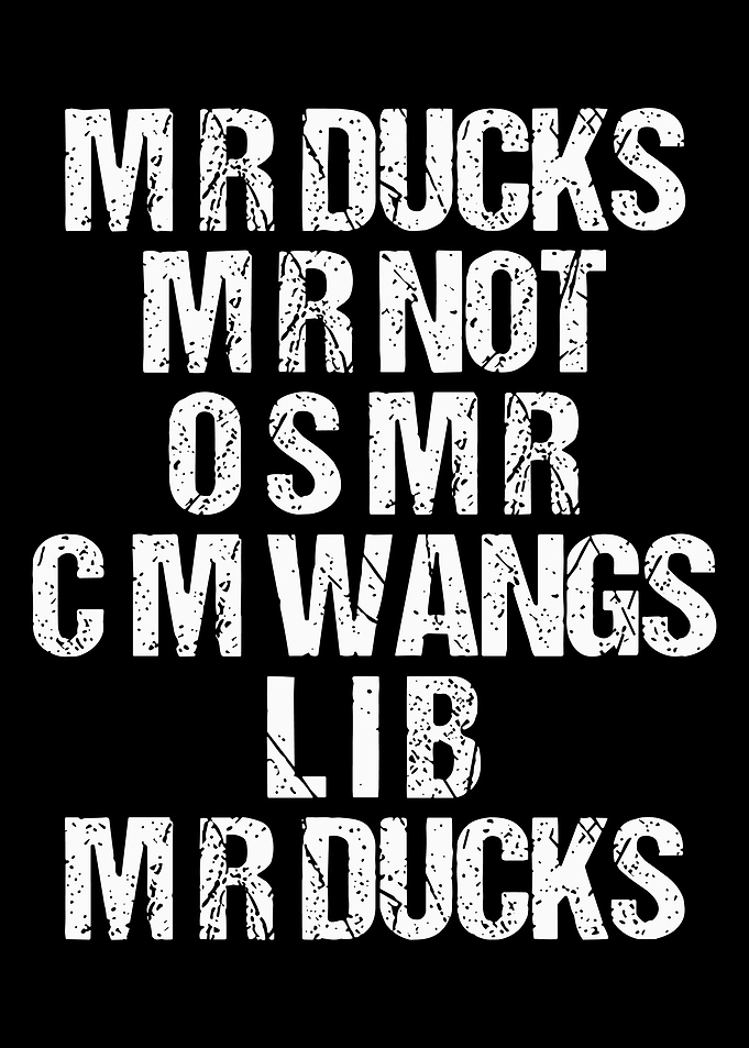 MR Ducks Typography Poster, Funny Vintage Text Wall Art, Bold Black and White Quote Print