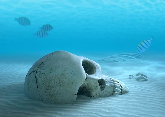 Underwater Skull with Fish