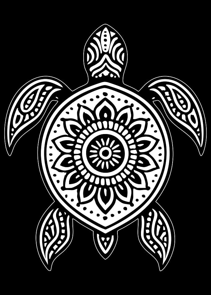 Ornate Turtle Illustration on Black Background