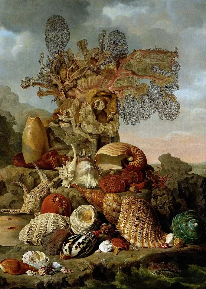 Still Life with Seashells Painting