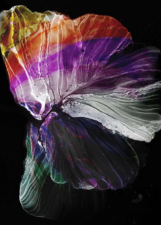 Abstract Alcohol Ink Floral Art on Black Background