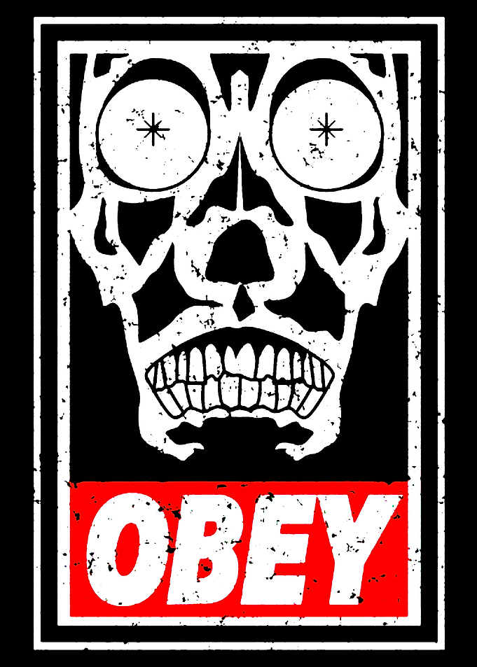 Obey Skull Propaganda Art