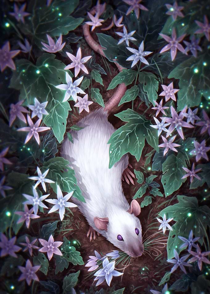 Collecting Star Flowers