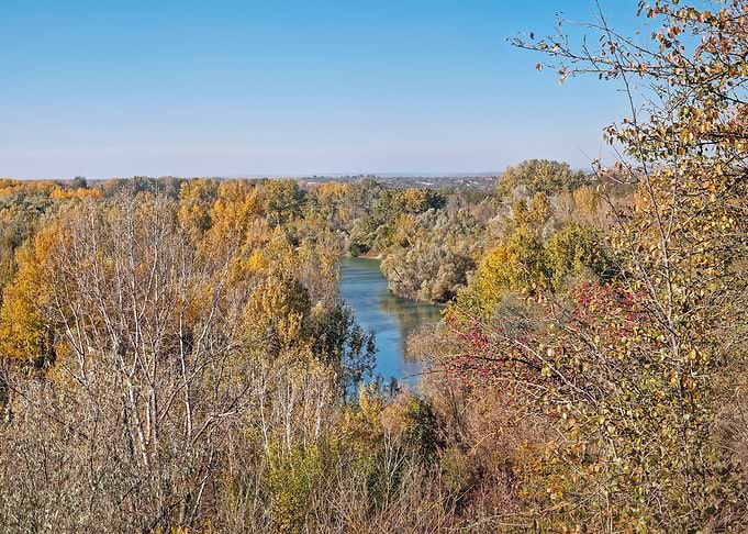 Autumn River Landscape
