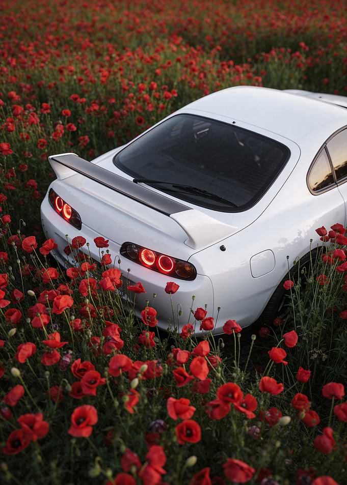 White Supra in a Poppy Field