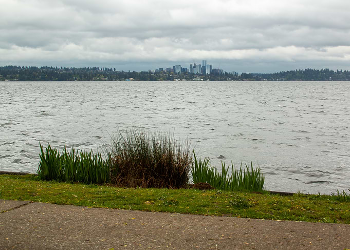 Lake Washington Bellevue Skyline View