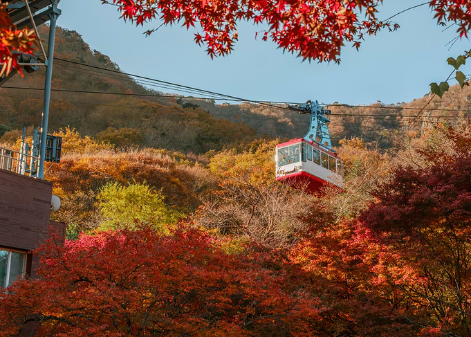 Autumn Cable Car Ride in South Korea