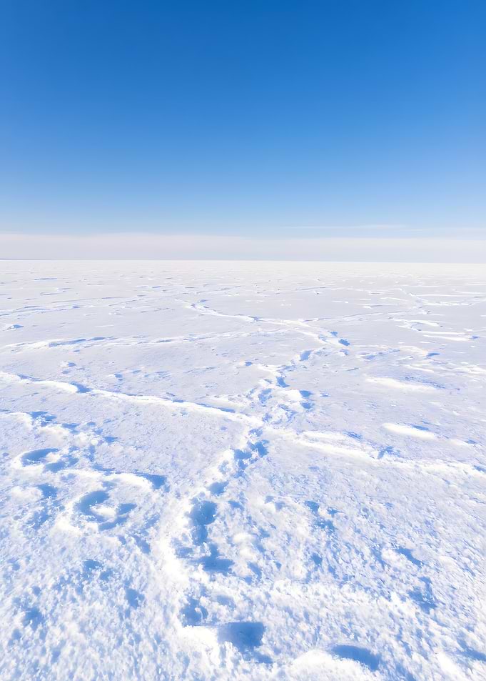 Snowy landscape under a blue sky
