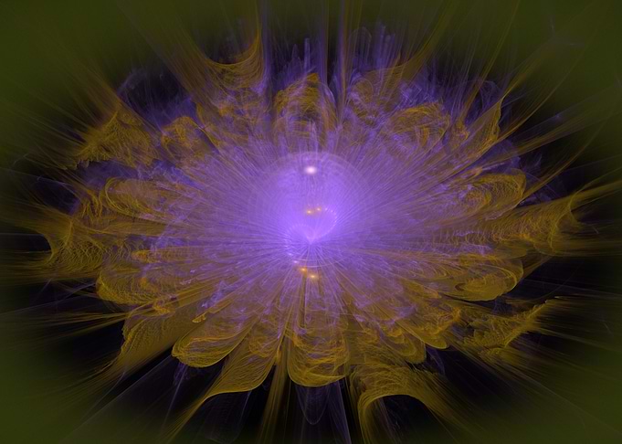 Floral Burst