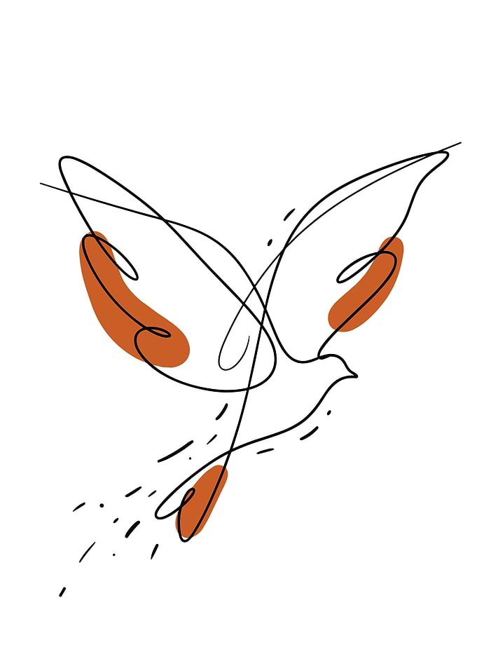 Minimalist Dove Line Art with Accents
