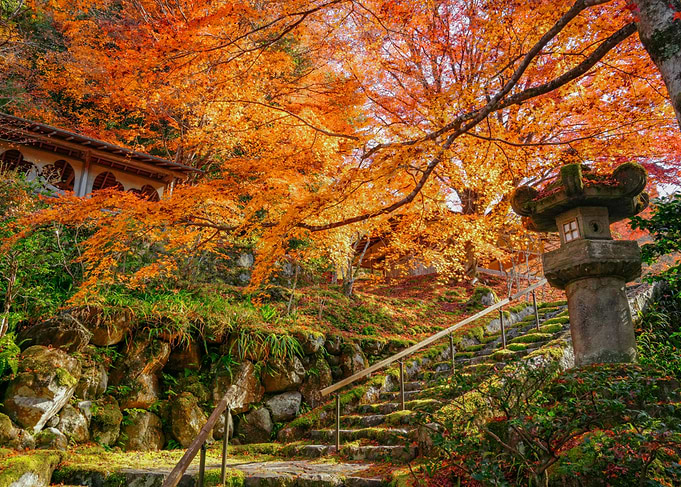 Autumn Japanese Garden with Stone Lantern