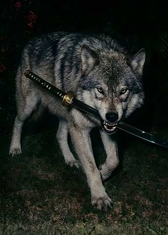 Wolf with Katana