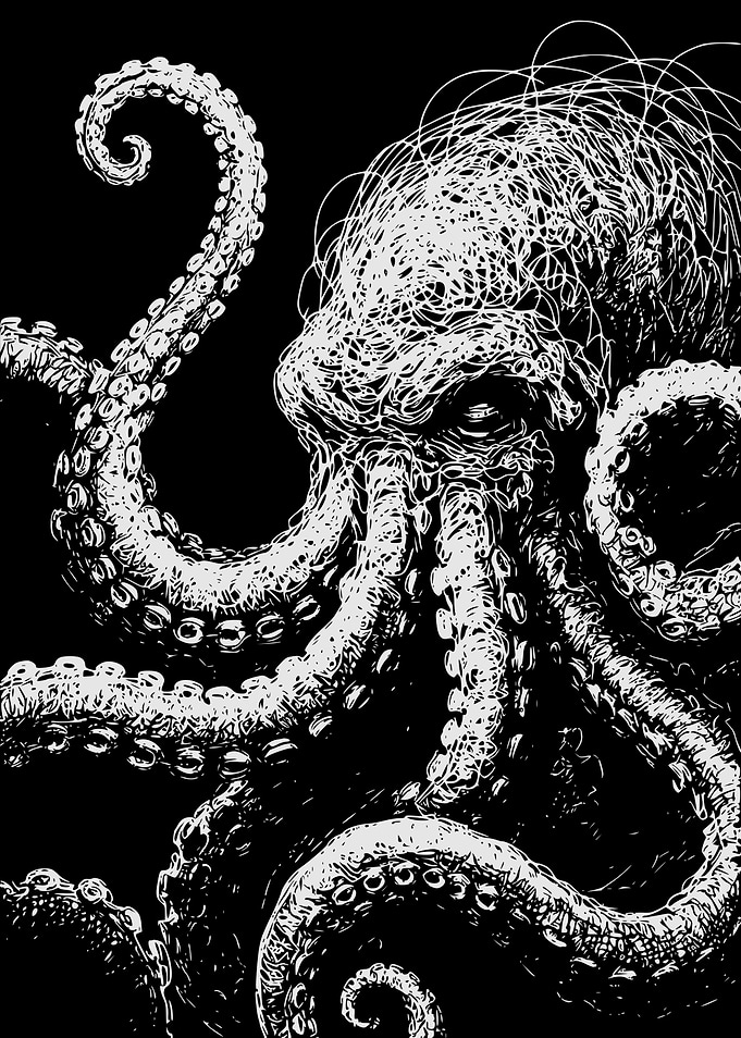 Monochrome Octopus Illustration