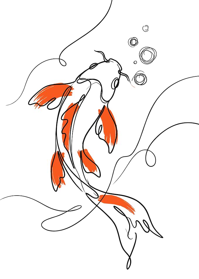 Koi Fish Line Art with Orange Accents