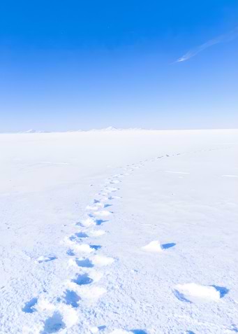 Snowy landscape with footprints under blue sky