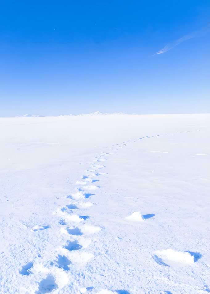 Snowy landscape with footprints under blue sky