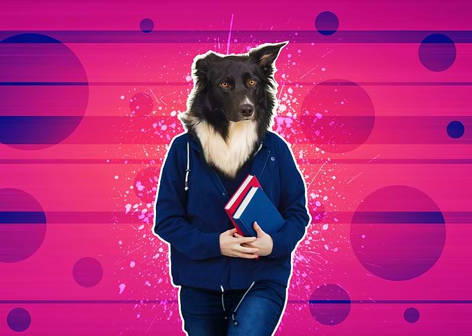 Dog-headed person holding books