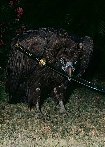 Vulture with Katana