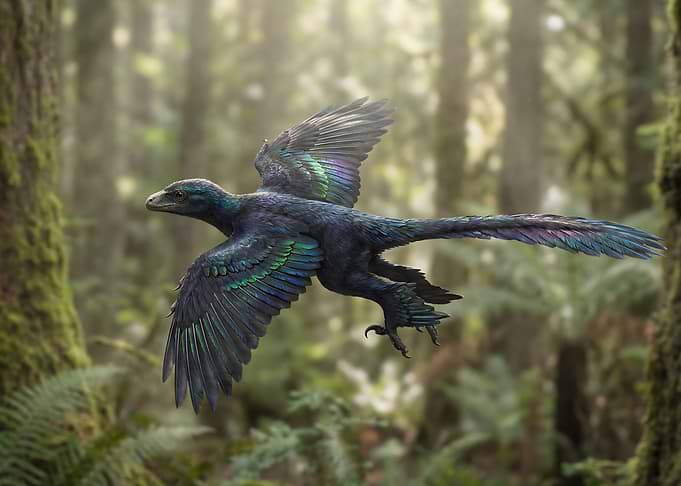 Microraptor Flying Through Forest