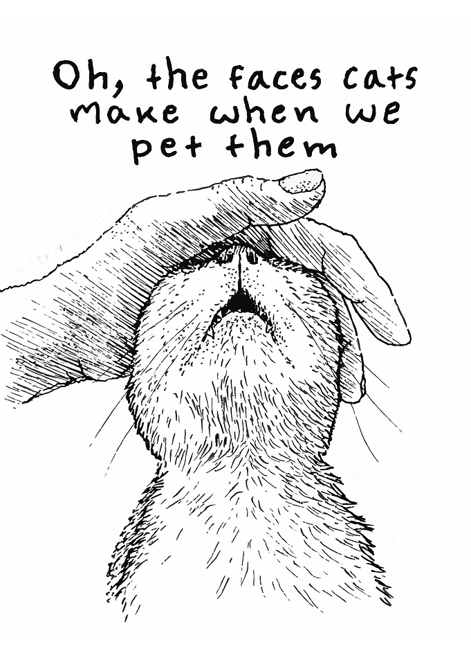Petting a Cat: Line Art Illustration