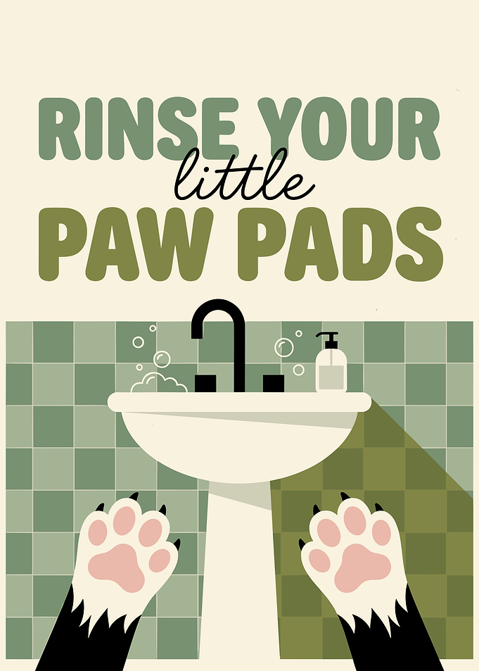 Rinse Your Little Paw Pads