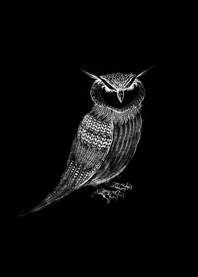 Tattooed Owl