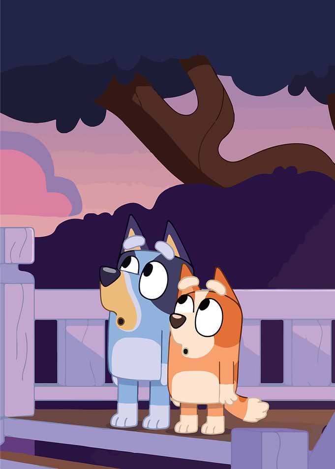 Bluey and Bingo looking up