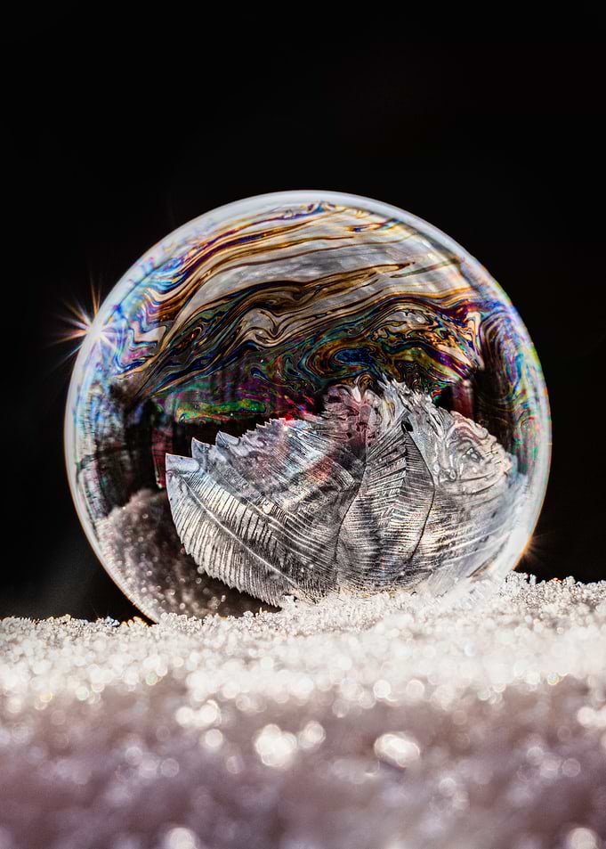 Frozen Bubble with Leaf Imprint
