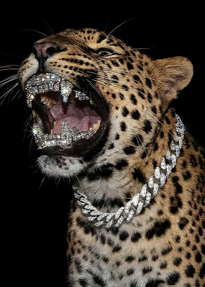 Leopard with Diamond Grill and Chain