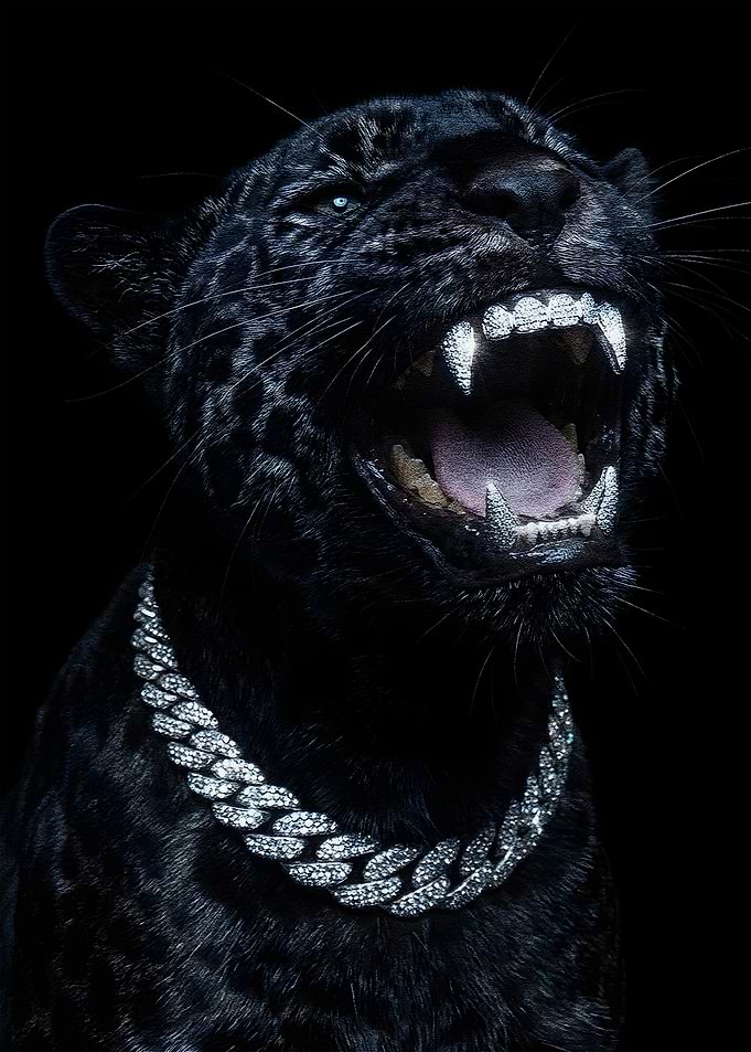Black Panther with Diamond Grill and Chain