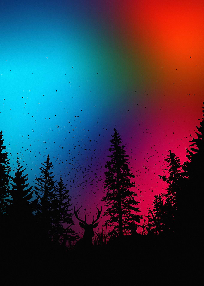 Deer Silhouette in Colorful Forest