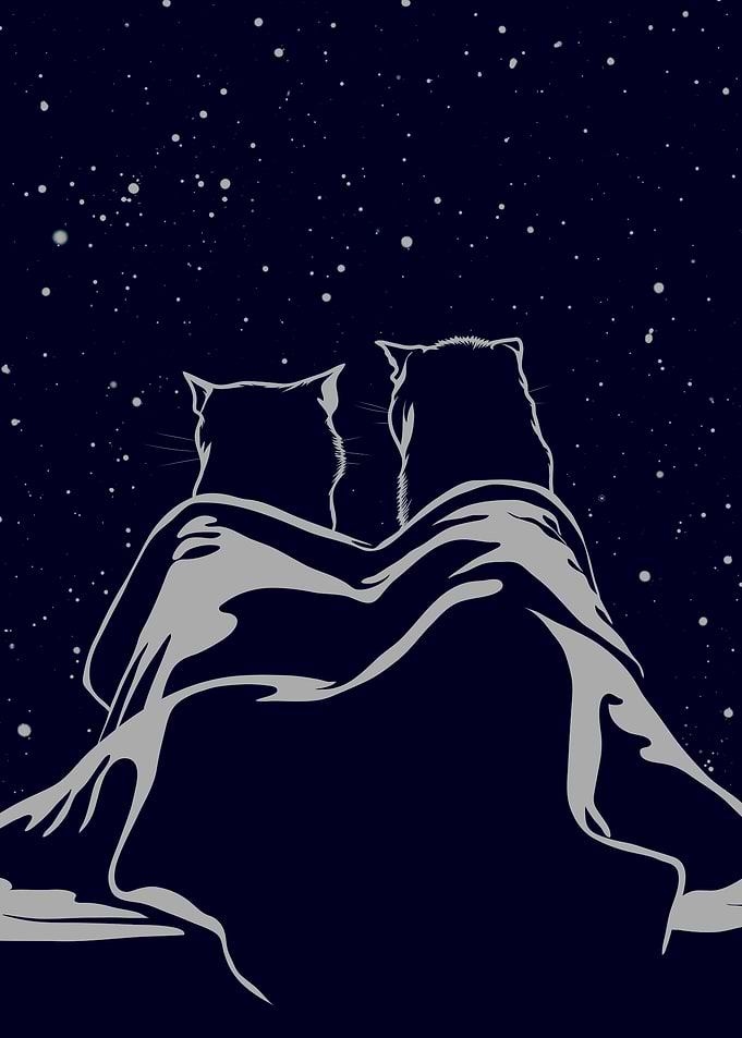 Cats Under Blanket Stargazing