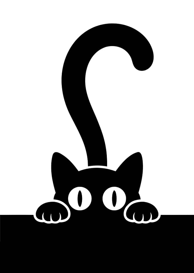 Cat Peeking Over Edge