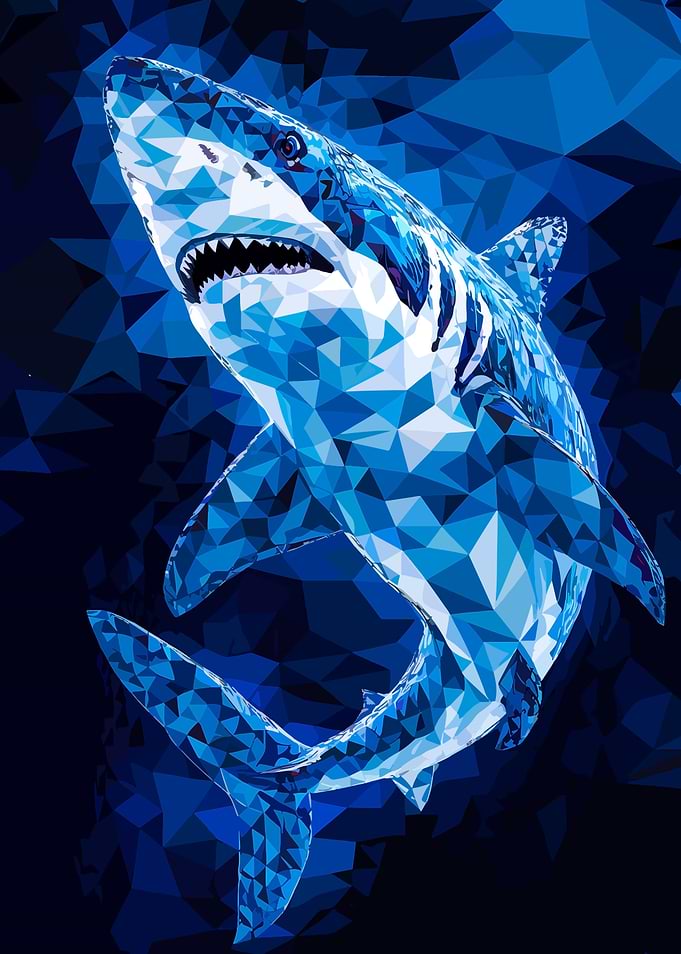 Geometric Shark Illustration in Blue Tones