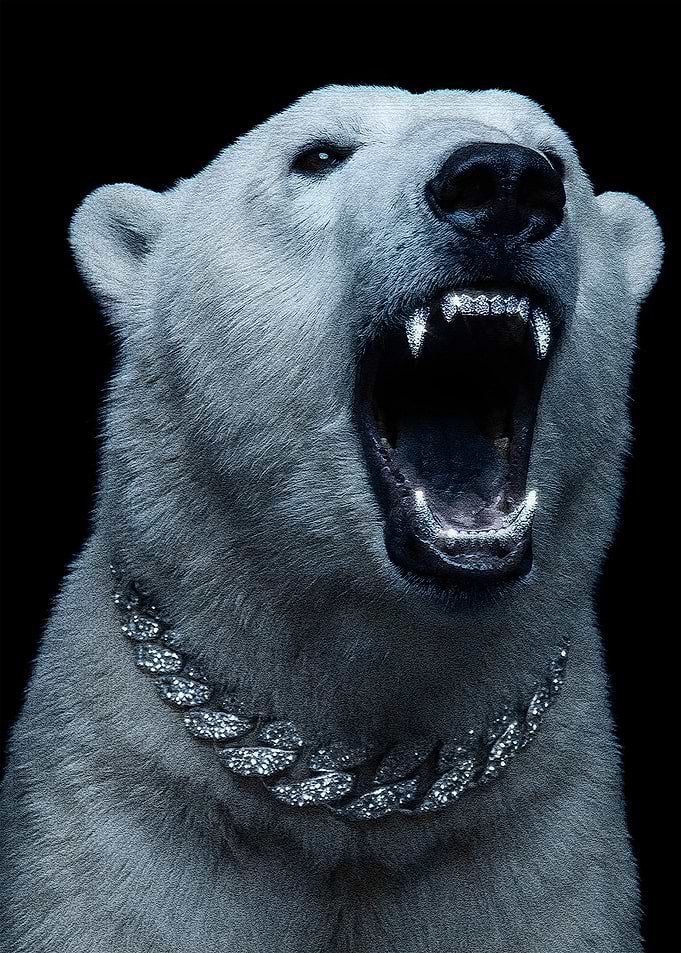 Polar Bear with Diamond Grill and Chain