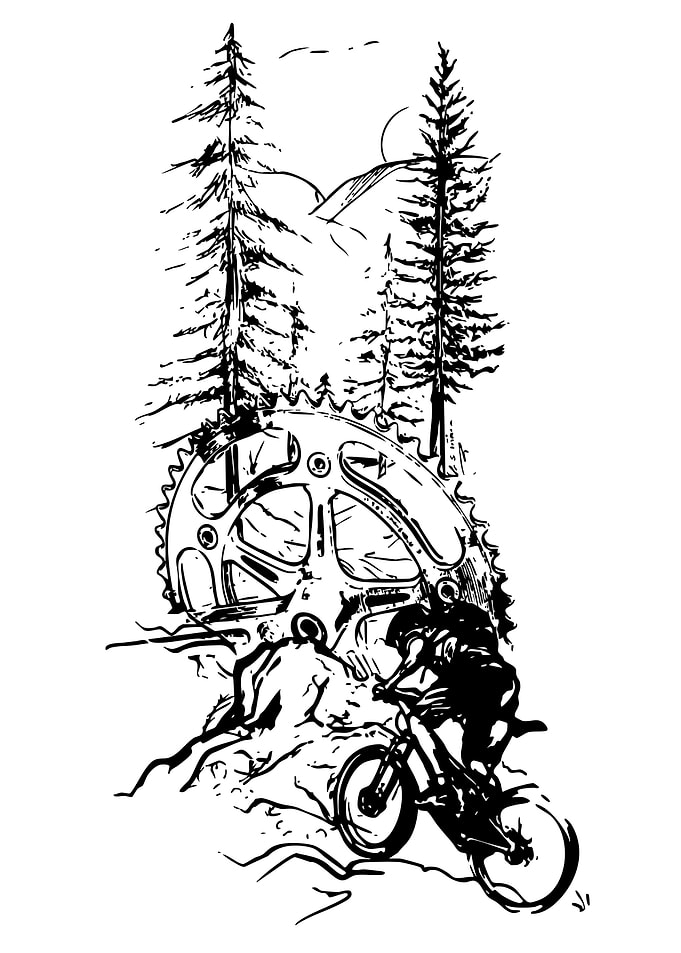 Mountain Biking Adventure Illustration